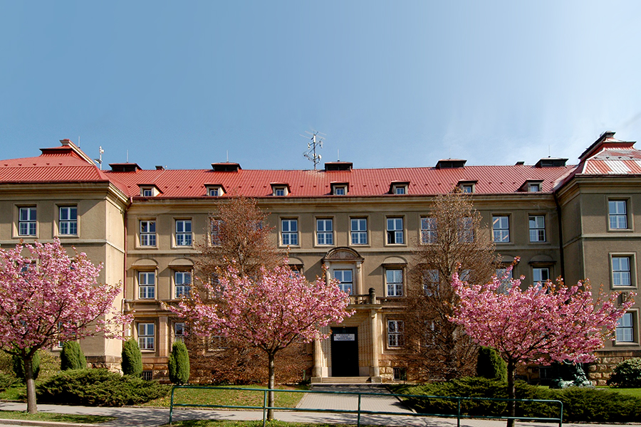 Školy Školy